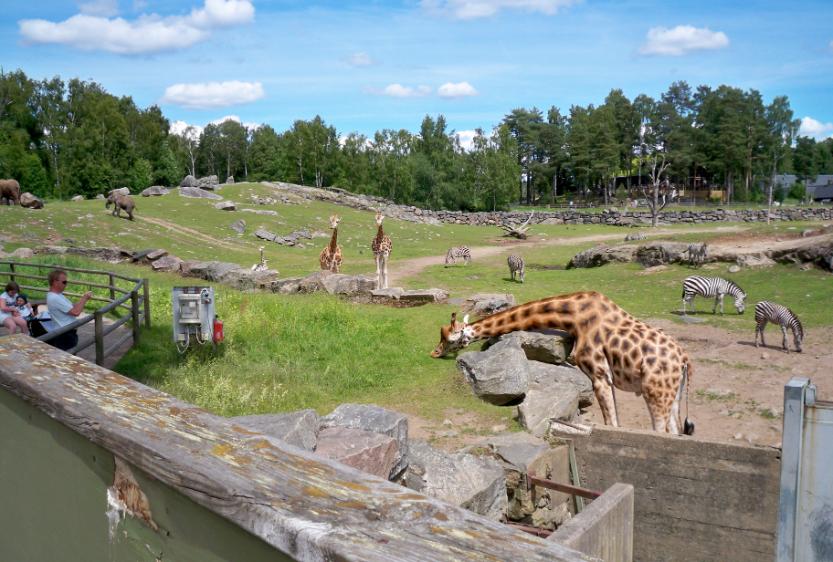 Borås Djurpark